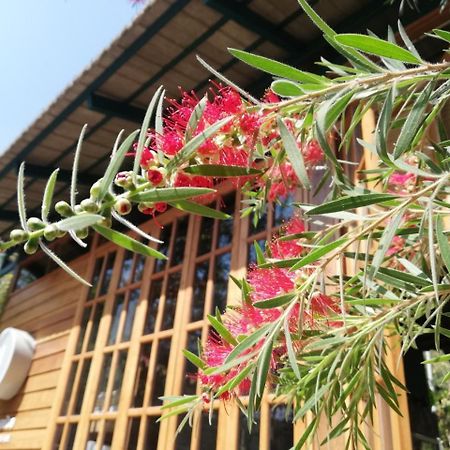 Paiyannoi Guesthome Chiang Mai Eksteriør bilde