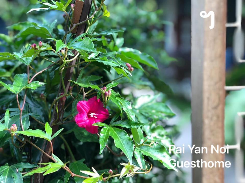 Paiyannoi Guesthome Chiang Mai Eksteriør bilde