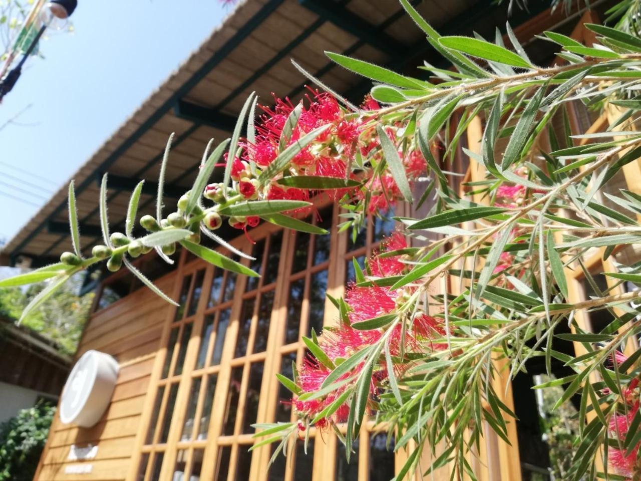 Paiyannoi Guesthome Chiang Mai Eksteriør bilde
